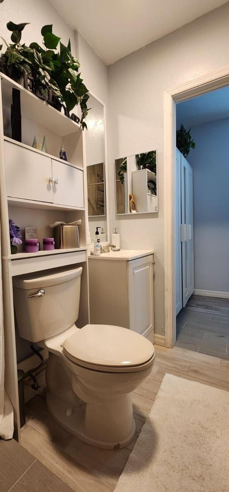 Sweet Studio In Sarasota Exteriér fotografie