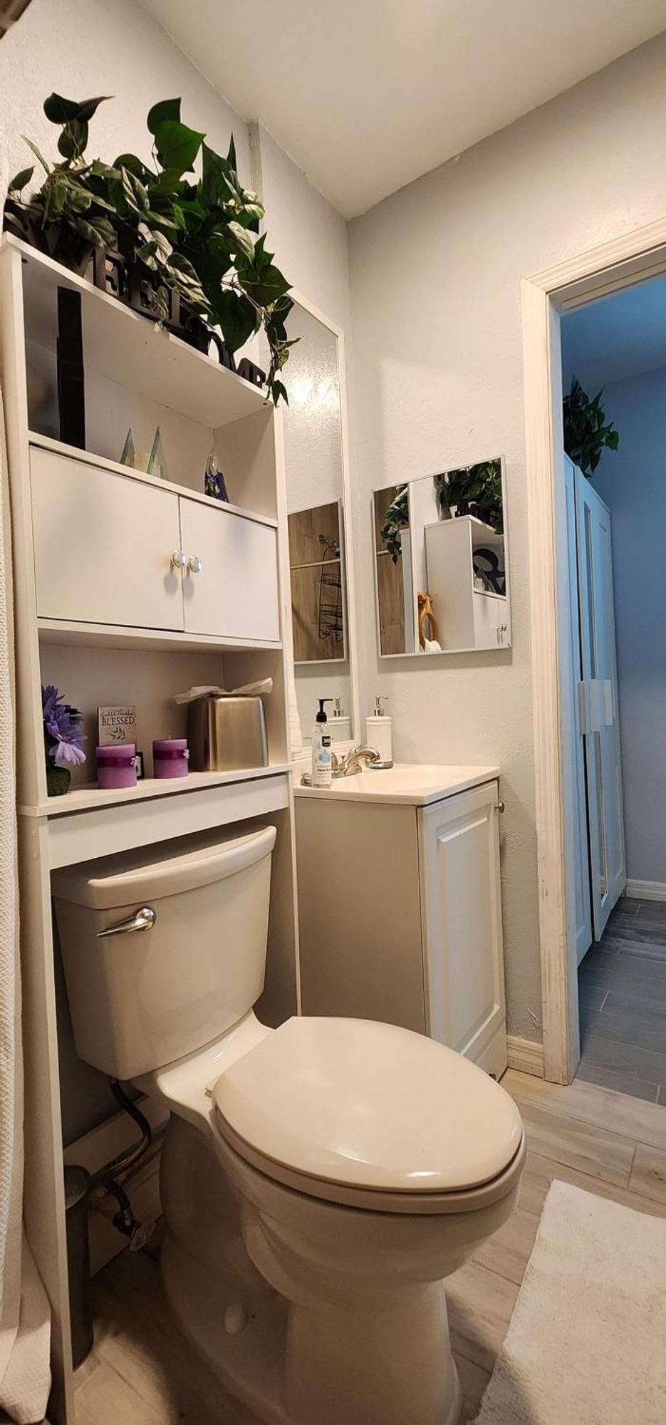 Sweet Studio In Sarasota Exteriér fotografie